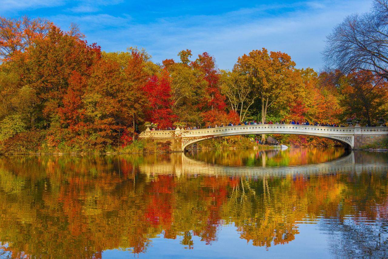 Bow Bridge v Central Parku obklopený podzimně zbarvenými stromy, které se zrcadlí v jezeře